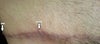 Dog ear (?) and one of the wider parts.