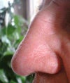 illustration of nose shape and length