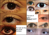 I hope these pictures help you to see what I have and what I want..