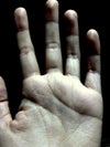 Photo taken using an iPad.