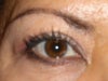 the slight dogear at the end of my right eye.