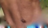 Close up of tummy