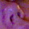 Here is a picture of my nose