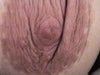 creases