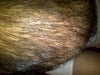 this is the front of my head