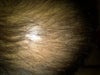 this is from the back