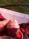 penis front side