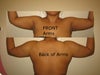 Arms are bulky and fat