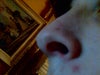 Good nostril P3
