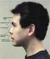 sharp asian nose tip