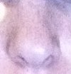 Nose at rest from the front