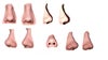 from left to right: 1) front view of nose 2) side view 3) side view from left side 4) bottom of nose 5) side view from left side