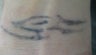 Tattoo on the wrist of 32 year old male