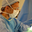 David F. Pratt, MD
