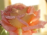Beautiful_Blessed