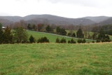 Blue Ridge M