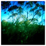 Sydney4109