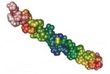 Collagen