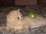 Lyndy27