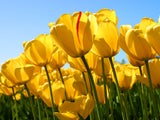 ms.want2behappy