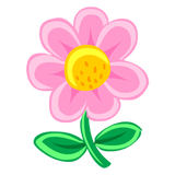 shadowpink