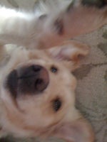 maggie g