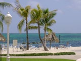 PalmBeachChick