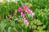 busymom55