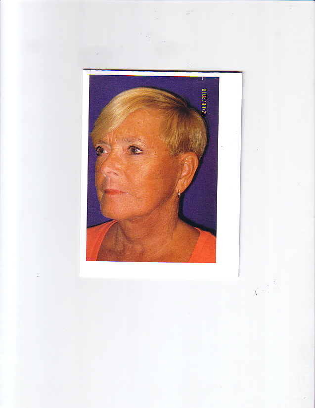 The Travel Agent