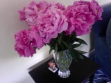 flowerbc