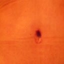 close up of navel 7wks
