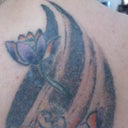 5th session - day 24