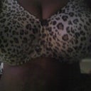 I love this animal print bra.  Ready for a new, prettier one!