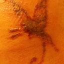 Here is the gruesome picture!! Sorry guys if you get grossed out.