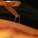 reposting pic of when I took out the stitches, I deleted it to crop it.