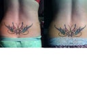 Left side day 10 right side day 21
