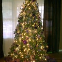 our lovely tree