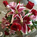 Flower from bf he's the best