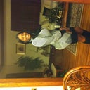 This is Rnd 1 in a dress