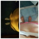 3wks.  Looking downward before and after.