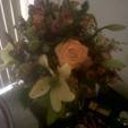 The wonderful surprise from Dr, Williams and his amazing staff.