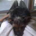 My dog hasn't left my side since I got home from the hospital! =) Shes helping to make me feel better!