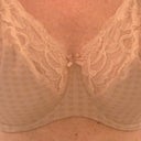 Prima Donna 36G close-up at 2 weeks - wish I could give you a better sense of the flappage that this bra now has!