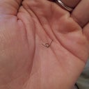 first stitch I removed (last week, from my breasts)