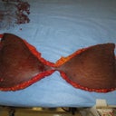 What was removed.  Please let me know if this grosses anyone out and I will delete it.