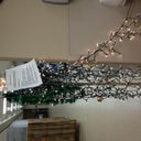 The hospital xmas tree made of an IV pole. This was great and lifted my spirits.