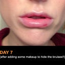 Day 7
