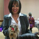 At the dog show!