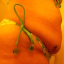 One day before surgery