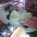 Sleeping Beauties